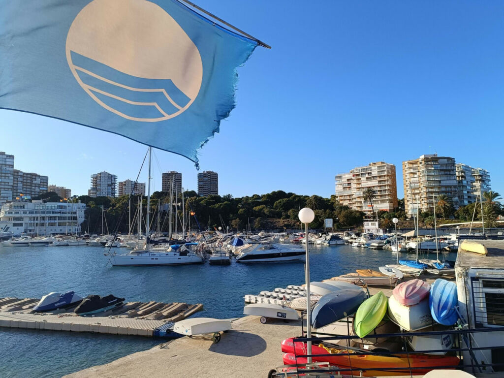 Middle Floor Apartment Campoamor Alicante - image 26