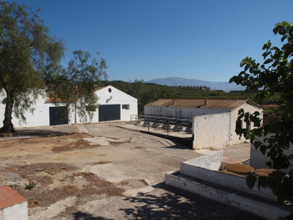 Finca - Cortijo Almayate Málaga - image 26