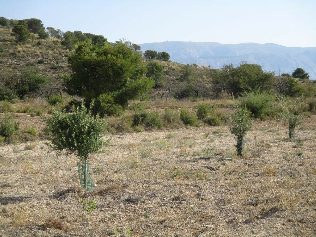Residential Plot Relleu Alicante - image 26