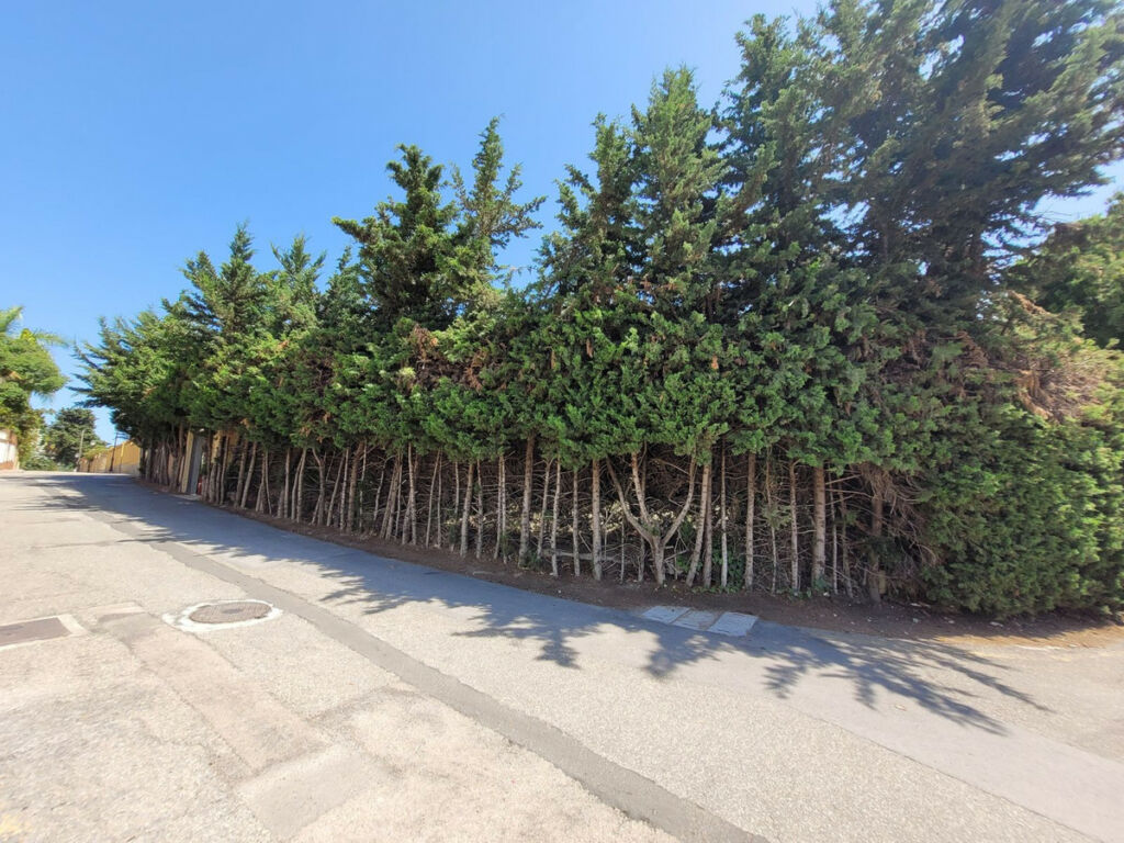 Detached Villa Río Real Málaga - image 27