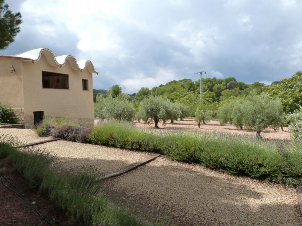 Detached Villa Ibi Alicante - image 27