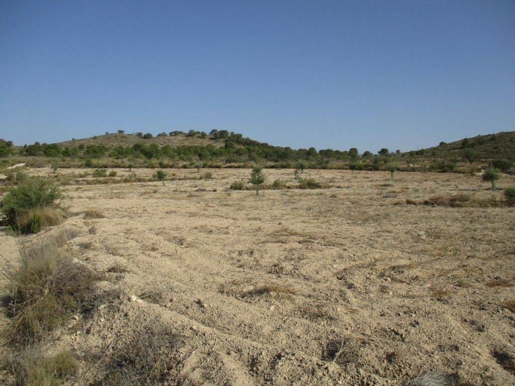 Residential Plot Relleu Alicante - image 27