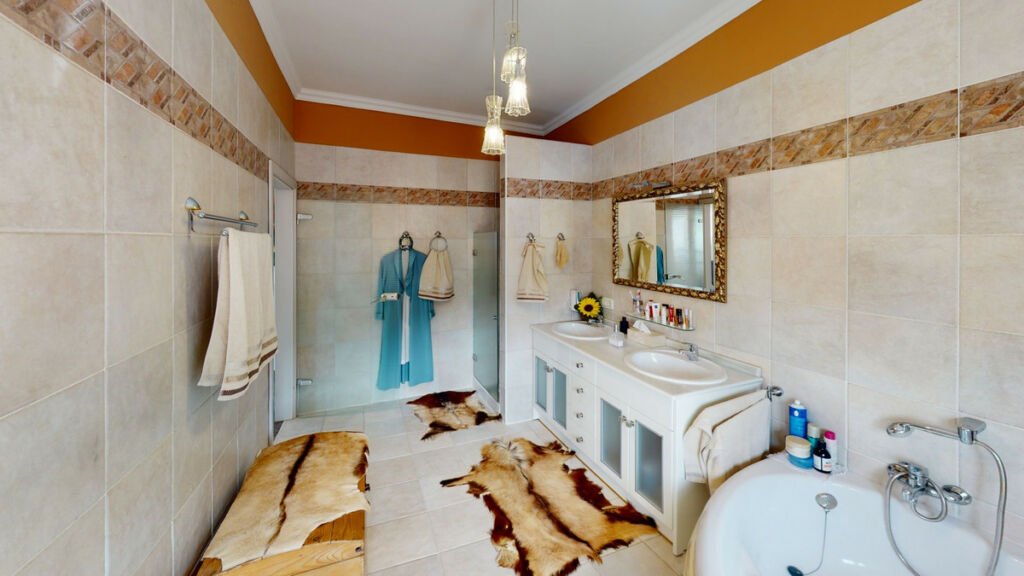 Detached Villa Sayalonga Málaga - image 28