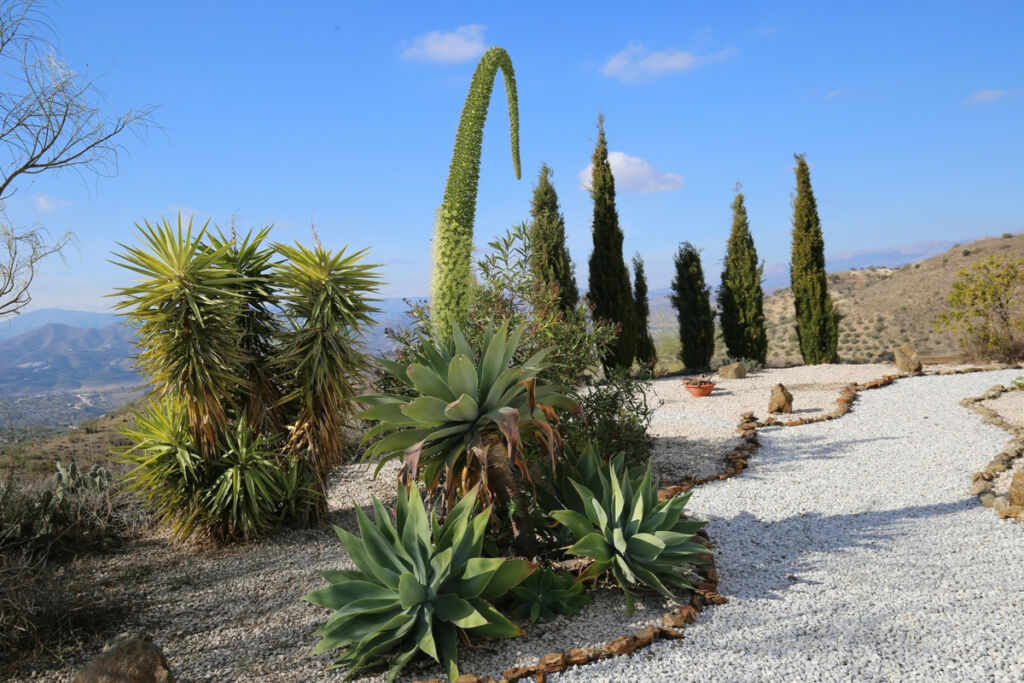 Detached Villa Alcaucín Málaga - image 28