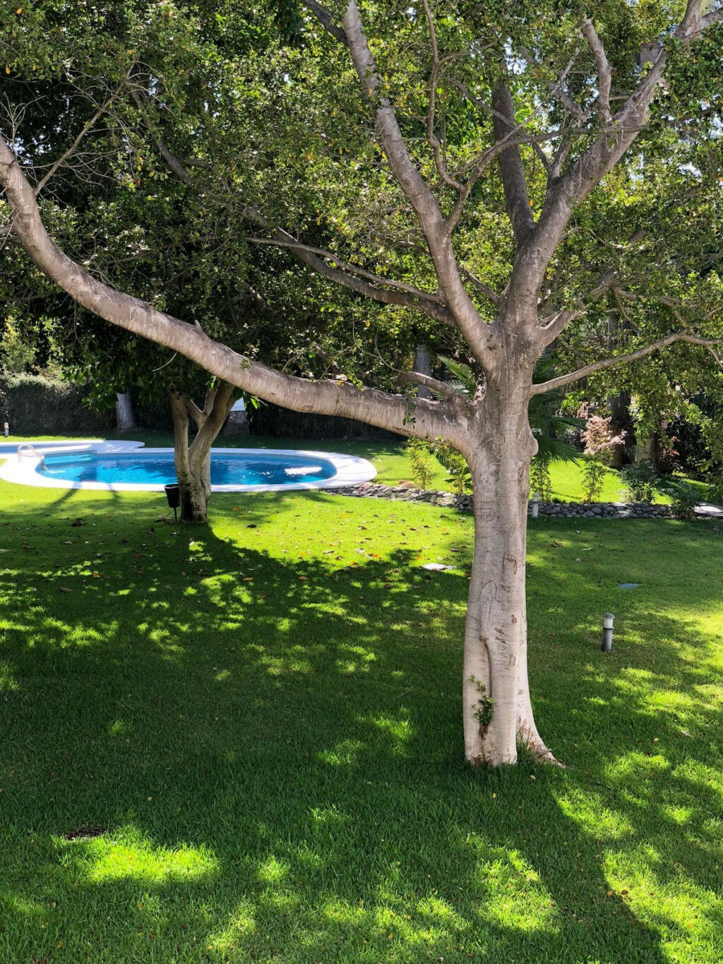 Detached Villa Nueva Andalucía Málaga - image 28