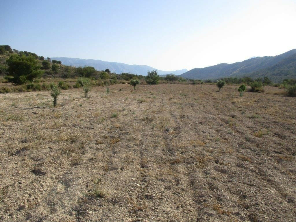 Residential Plot Relleu Alicante - image 28
