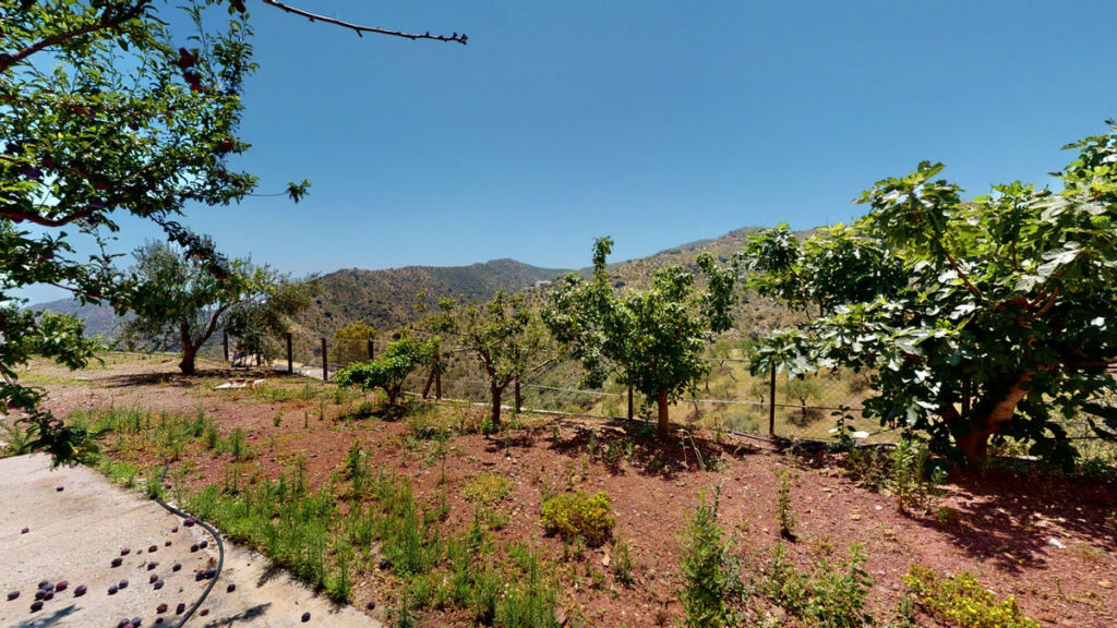 Detached Villa Comares Málaga - image 29