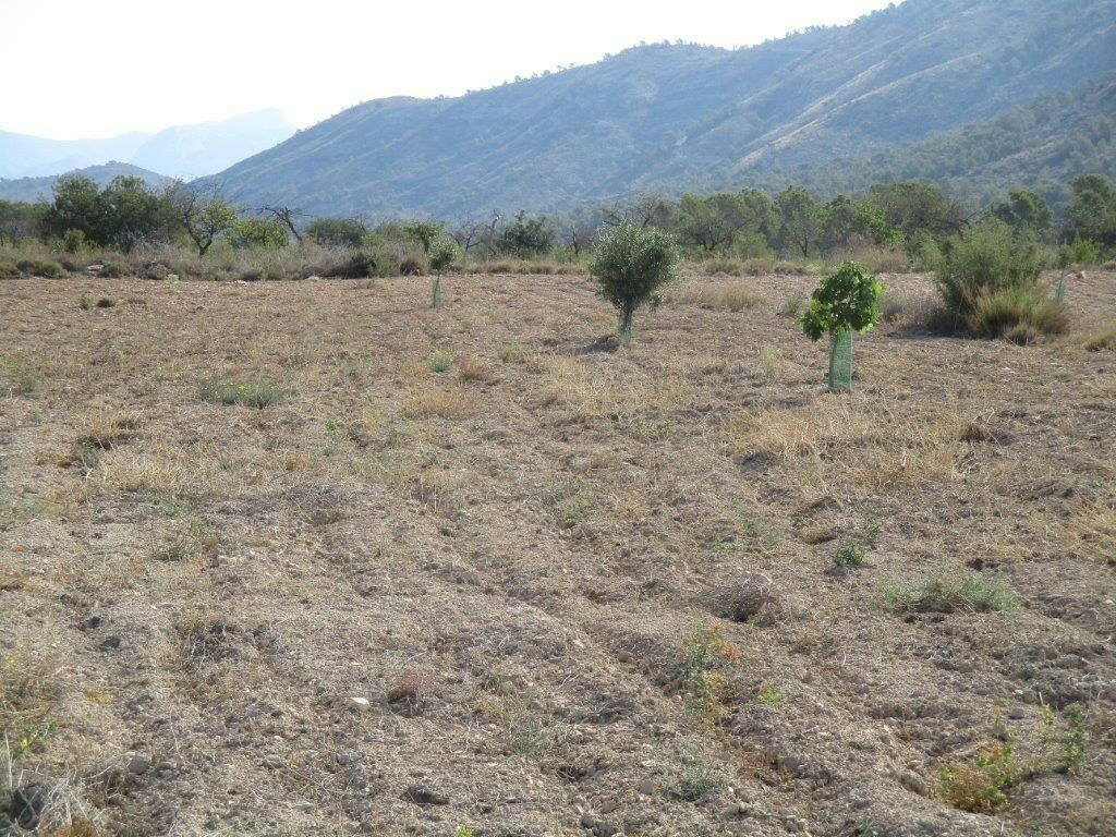 Residential Plot Relleu Alicante - image 29