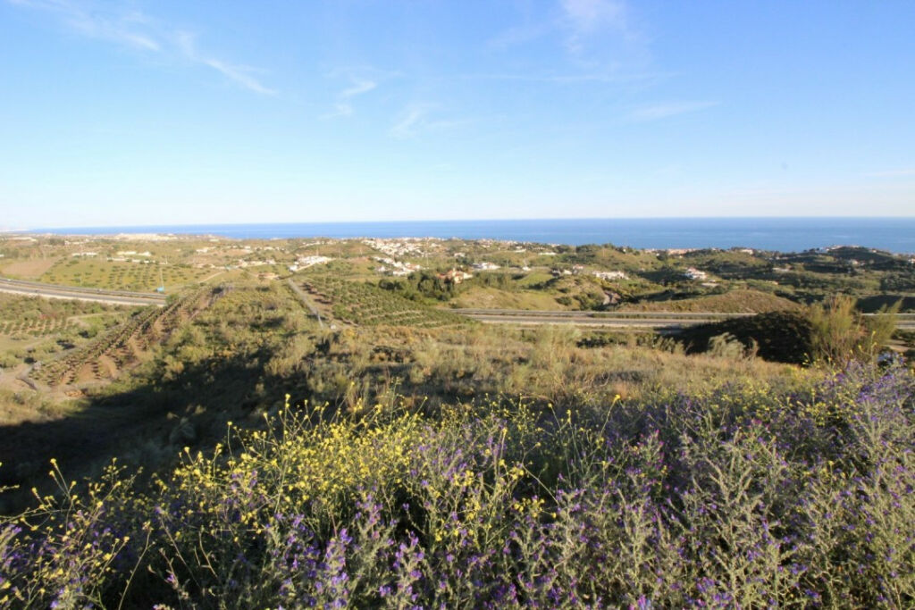 Land Benajarafe Málaga - image 3