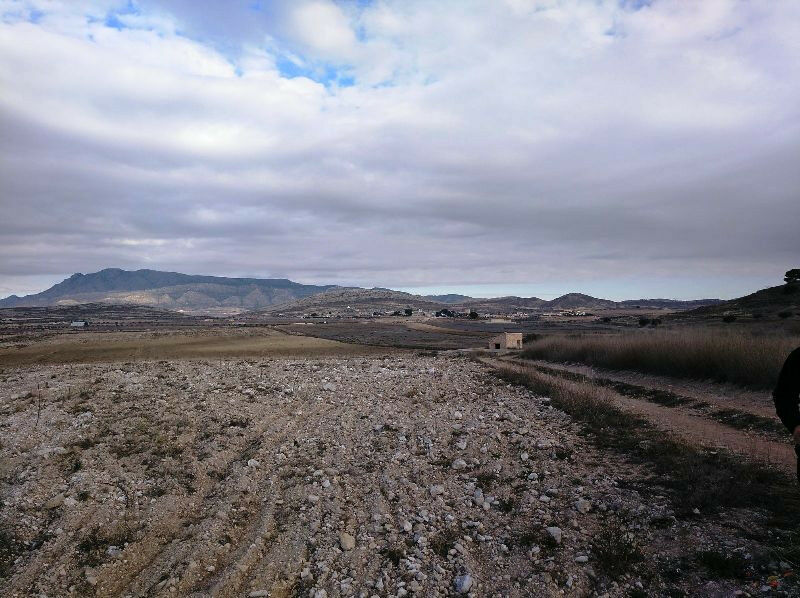 Land Torre Del Rico Murcia - image 3