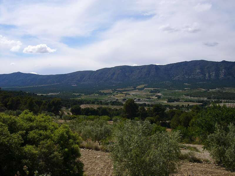 Finca - Cortijo Salinas Alicante - image 3