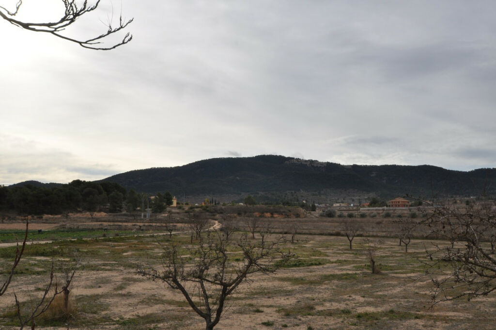 Detached Villa Chinorlet Alicante - image 3