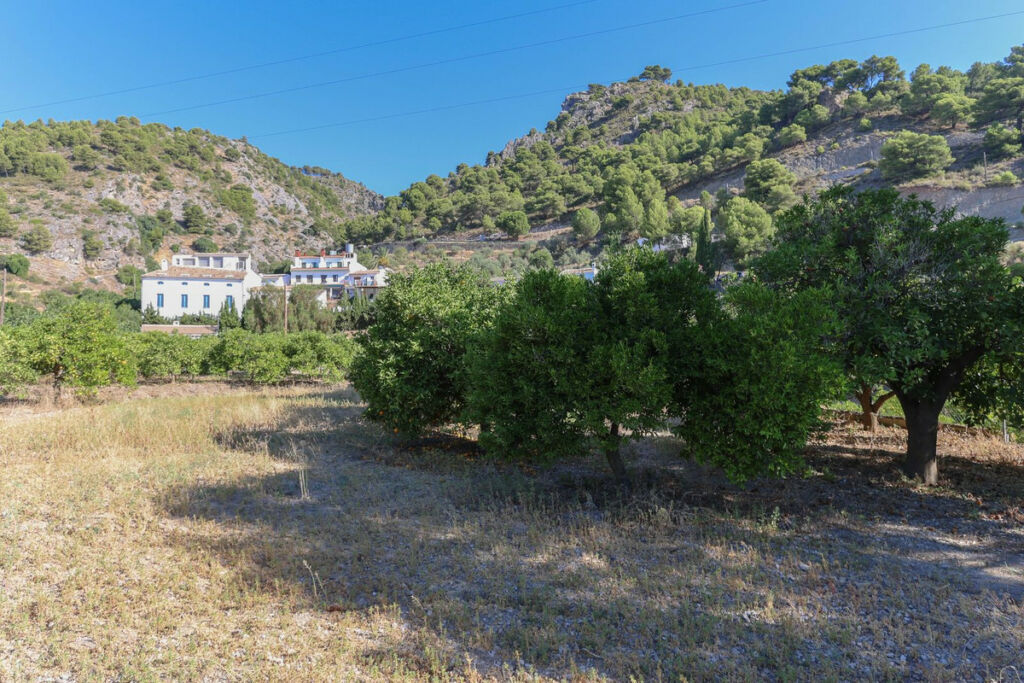 Detached Villa Alozaina Málaga - image 3