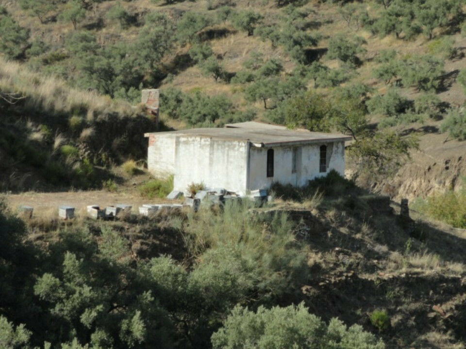Land Cómpeta Málaga - image 3