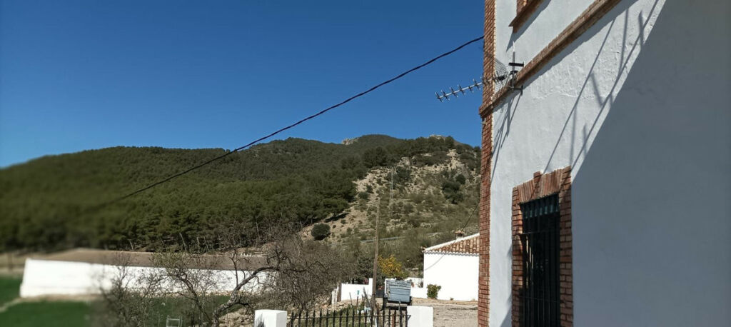 Detached Villa Ronda Málaga - image 3