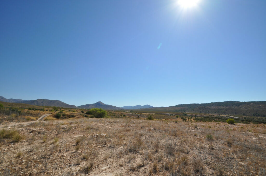 Land Macisvenda Murcia - image 3