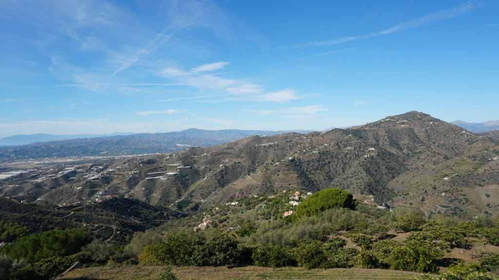 Finca - Cortijo Sayalonga Málaga - image 3