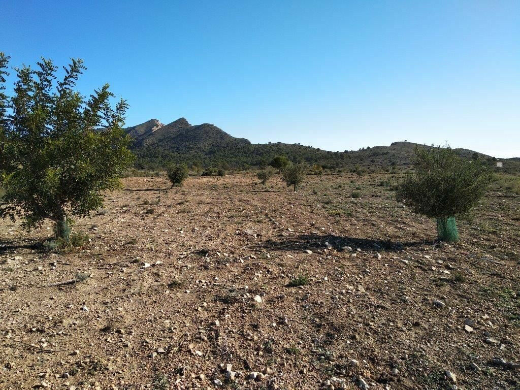 Residential Plot Relleu Alicante - image 3