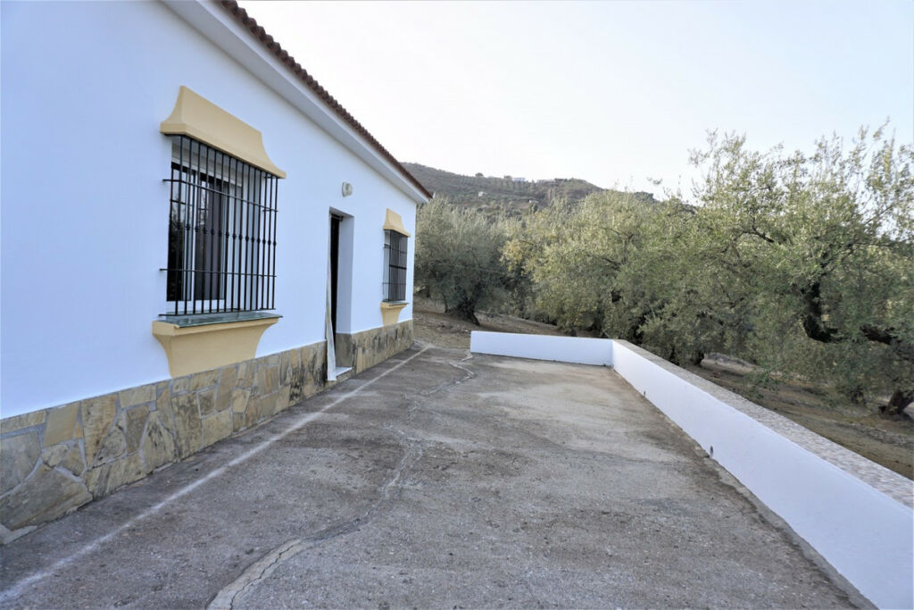 Finca - Cortijo Alcaucín Málaga - image 3
