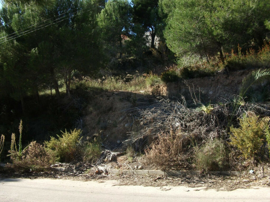 Land Altea Alicante - image 3