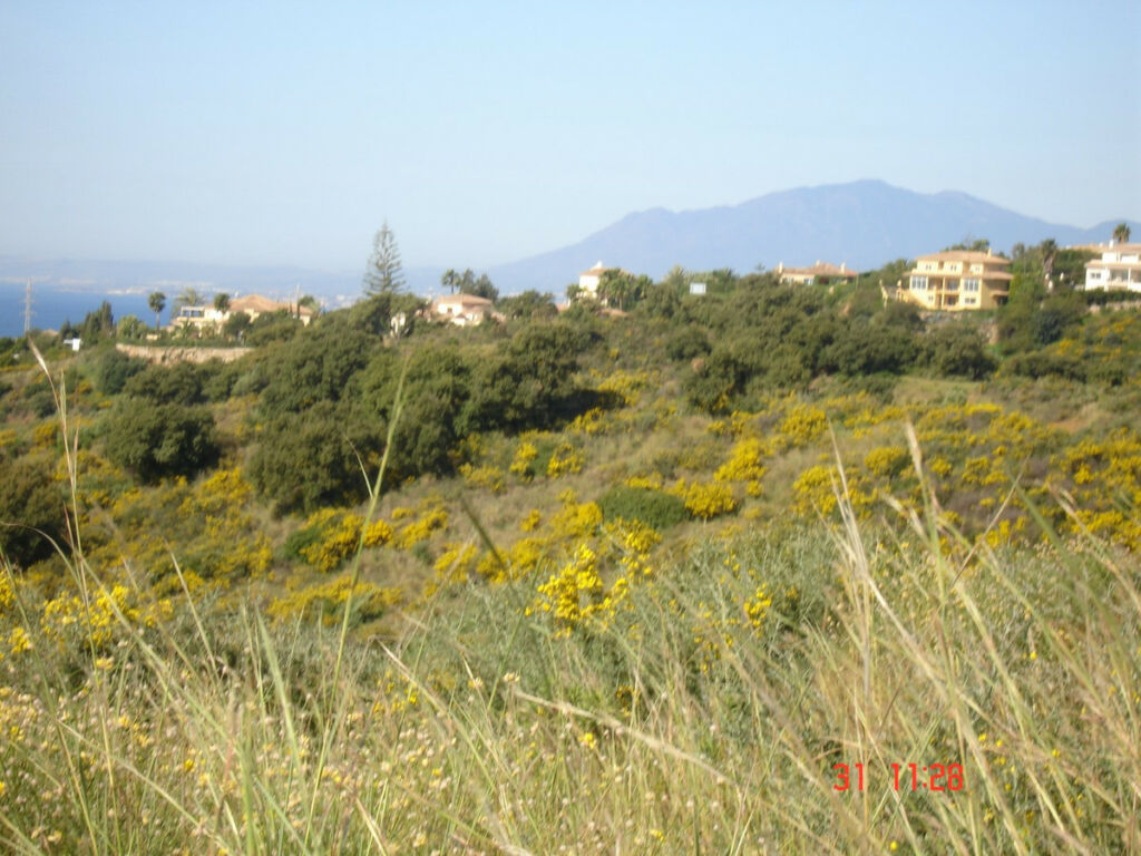 Land Marbella Málaga - image 3
