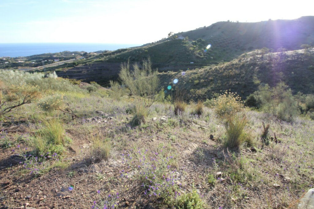 Land Benajarafe Málaga - image 2