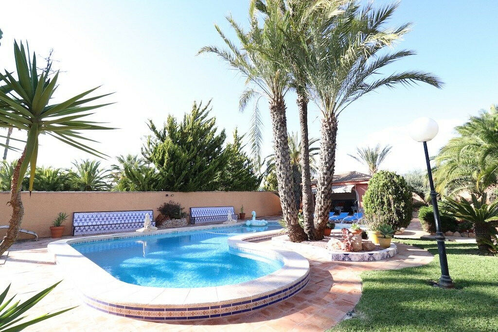 Detached Villa Torrevieja Alicante - image 3