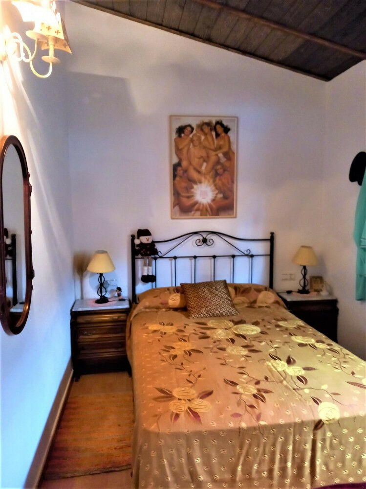 Detached Villa Almayate Málaga - image 30