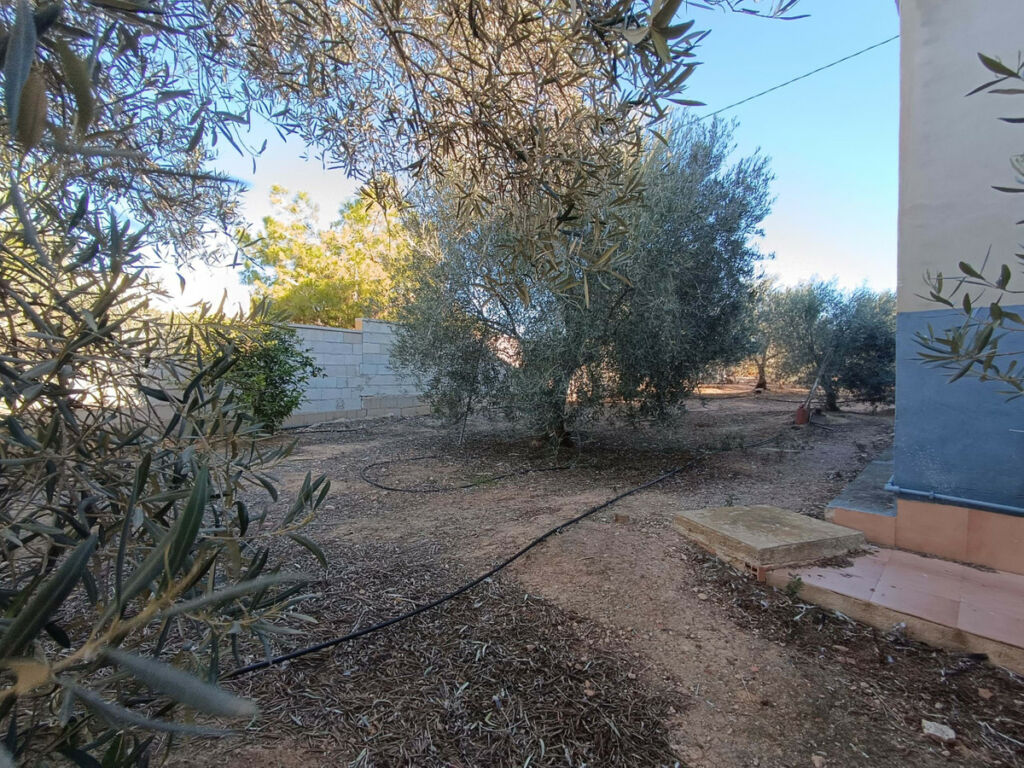 Detached Villa Avileses Murcia - image 30