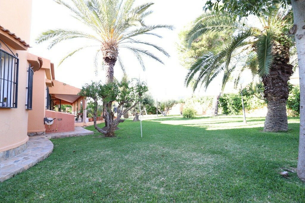 Detached Villa Torrevieja Alicante - image 31