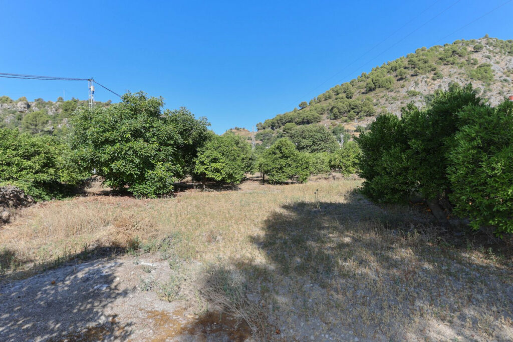 Detached Villa Alozaina Málaga - image 31