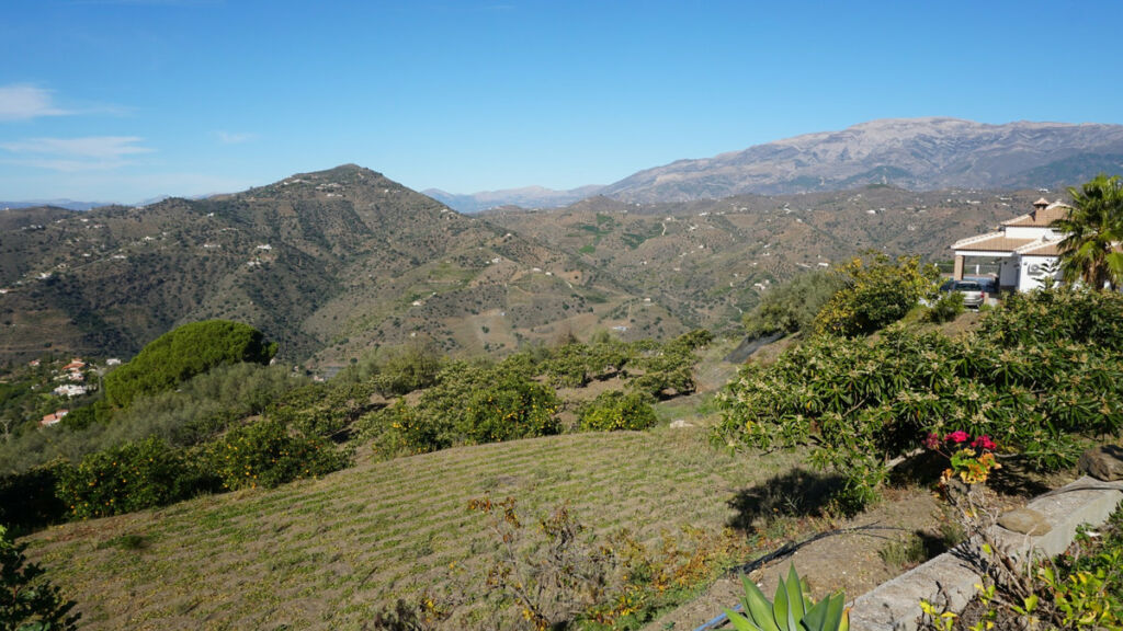 Finca - Cortijo Sayalonga Málaga - image 31