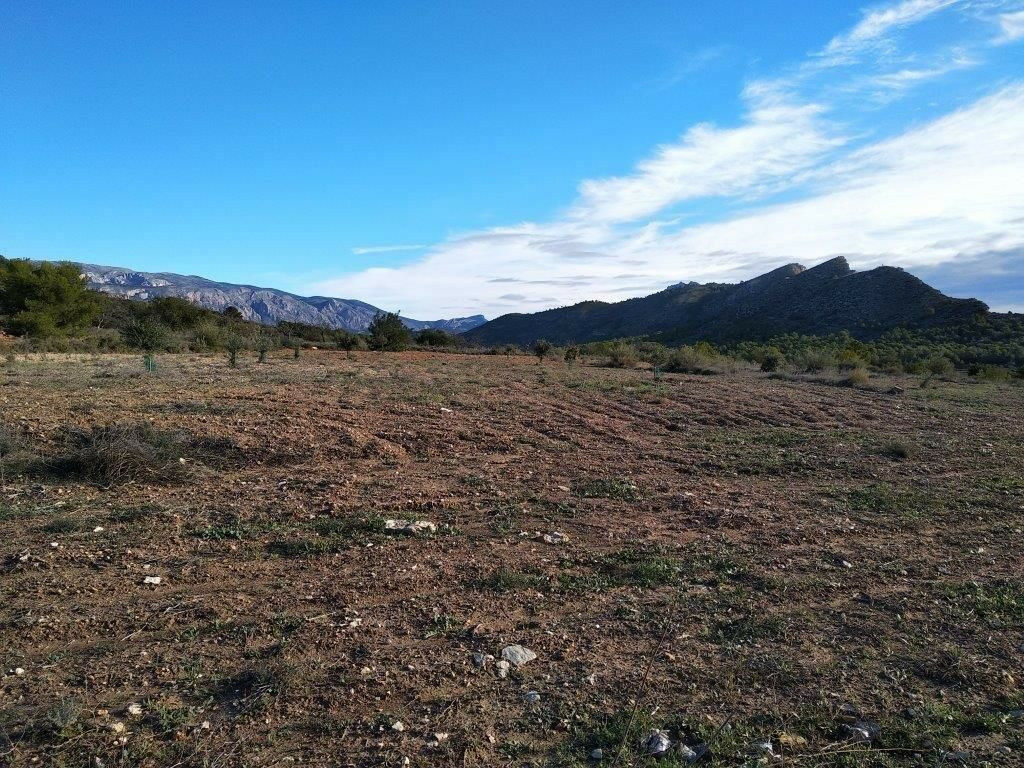 Residential Plot Relleu Alicante - image 31