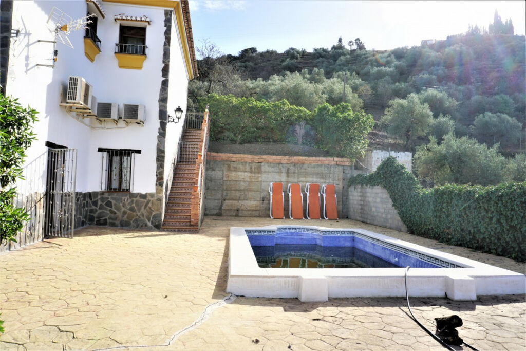 Detached Villa Sayalonga Málaga - image 31