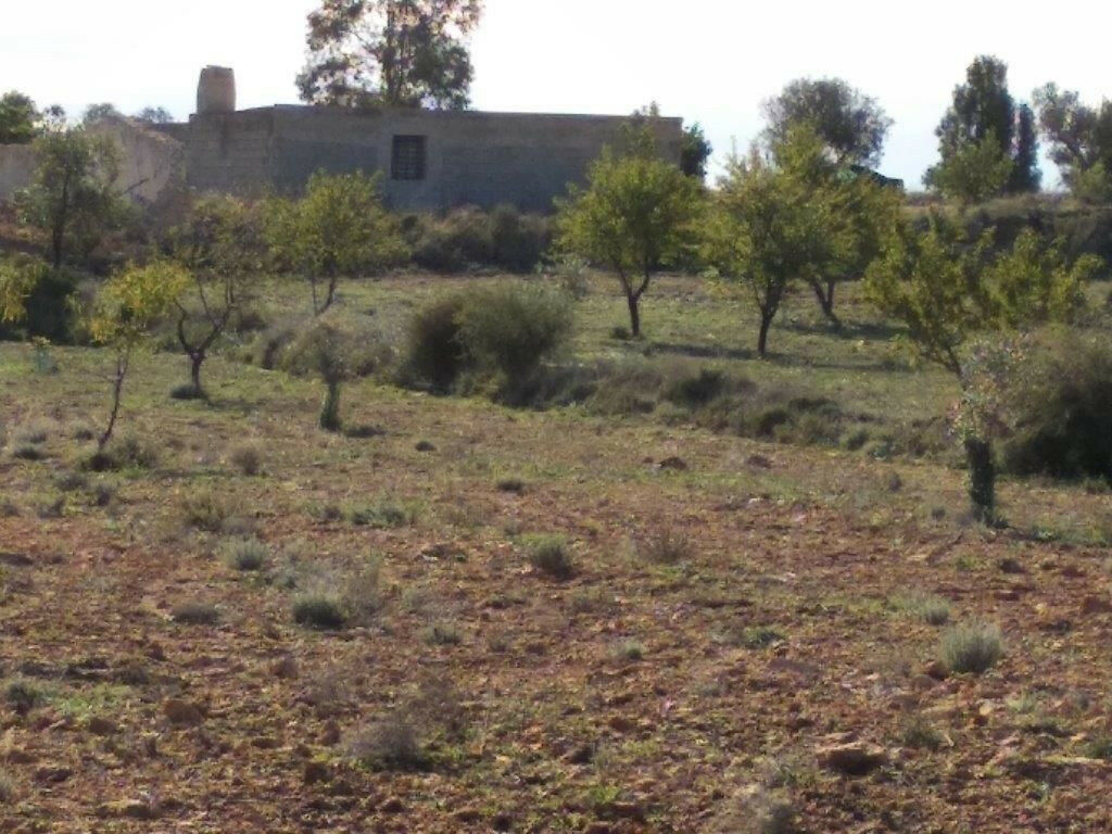Residential Plot Relleu Alicante - image 32