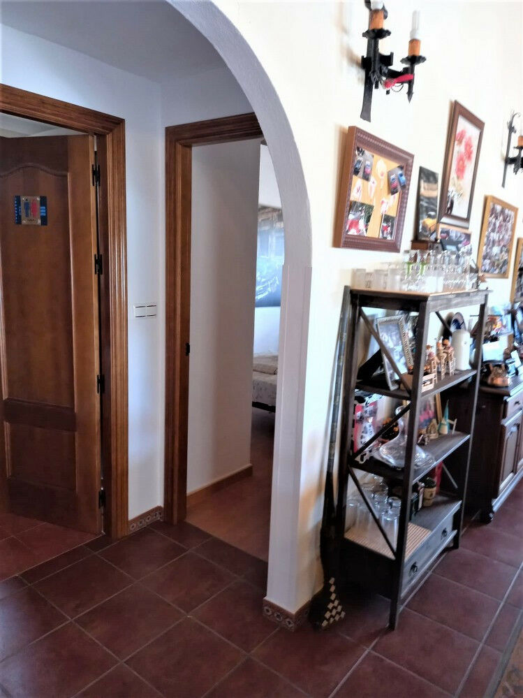 Detached Villa Almayate Málaga - image 32