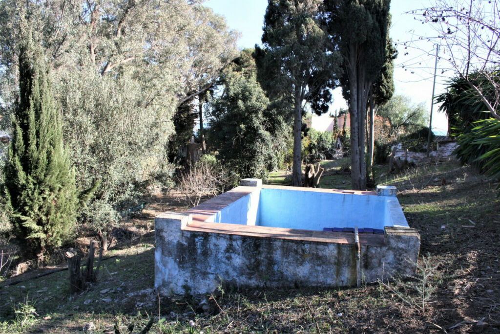 Detached Villa Benajarafe Málaga - image 30