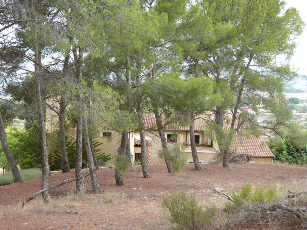 Detached Villa Ibi Alicante - image 32