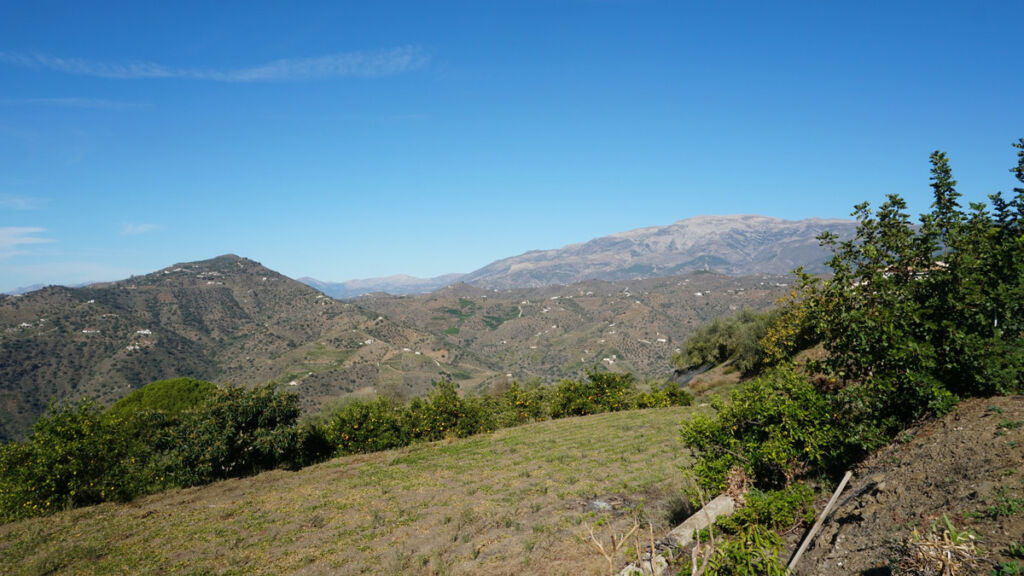 Finca - Cortijo Sayalonga Málaga - image 32