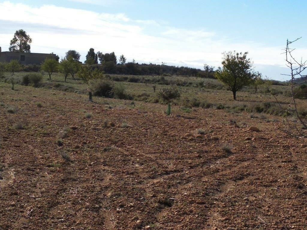Residential Plot Relleu Alicante - image 33