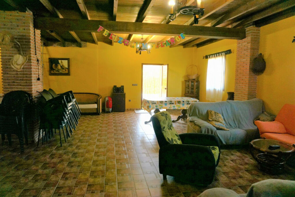 Detached Villa Sayalonga Málaga - image 33