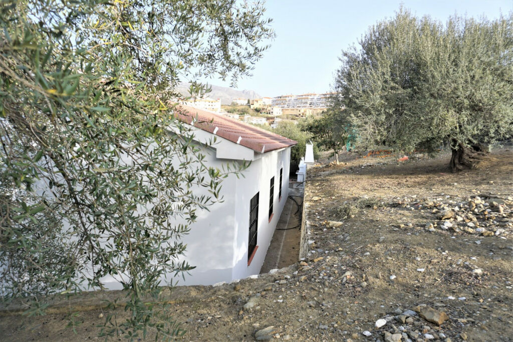 Finca - Cortijo Alcaucín Málaga - image 33