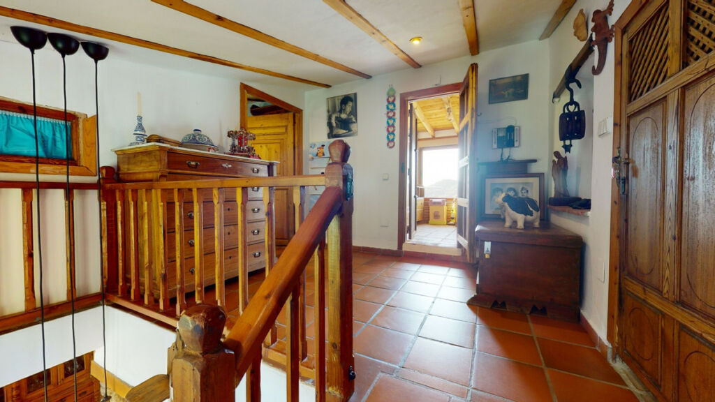 Detached Villa Sayalonga Málaga - image 33