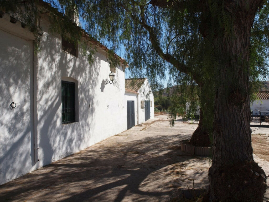 Finca - Cortijo Almayate Málaga - image 34