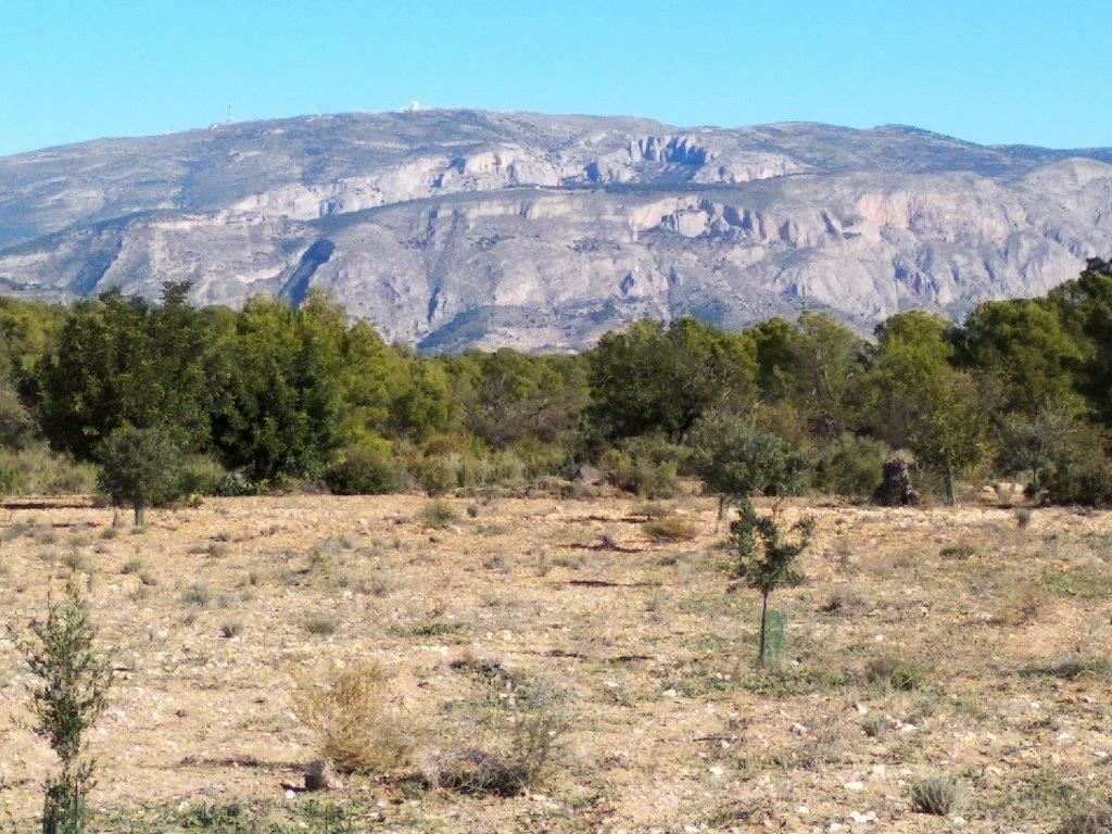 Residential Plot Relleu Alicante - image 34