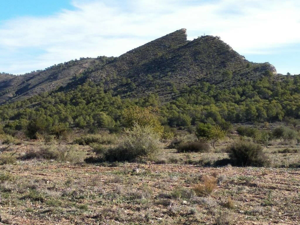 Residential Plot Relleu Alicante - image 35