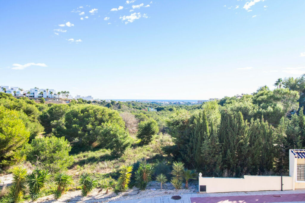 Detached Villa Las Ramblas Golf Alicante - image 36