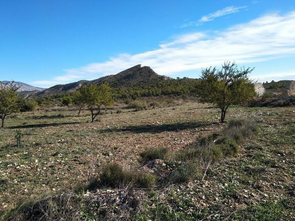 Residential Plot Relleu Alicante - image 36