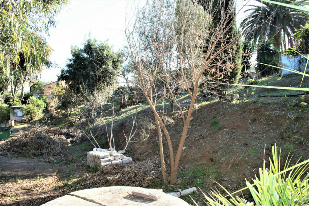 Detached Villa Benajarafe Málaga - image 35