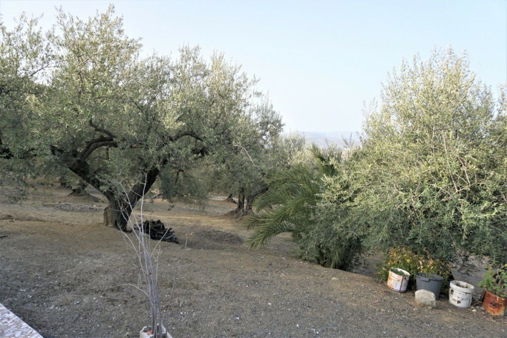 Finca - Cortijo Alcaucín Málaga - image 38
